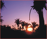 三亞海灘-美麗的椰林與夕陽